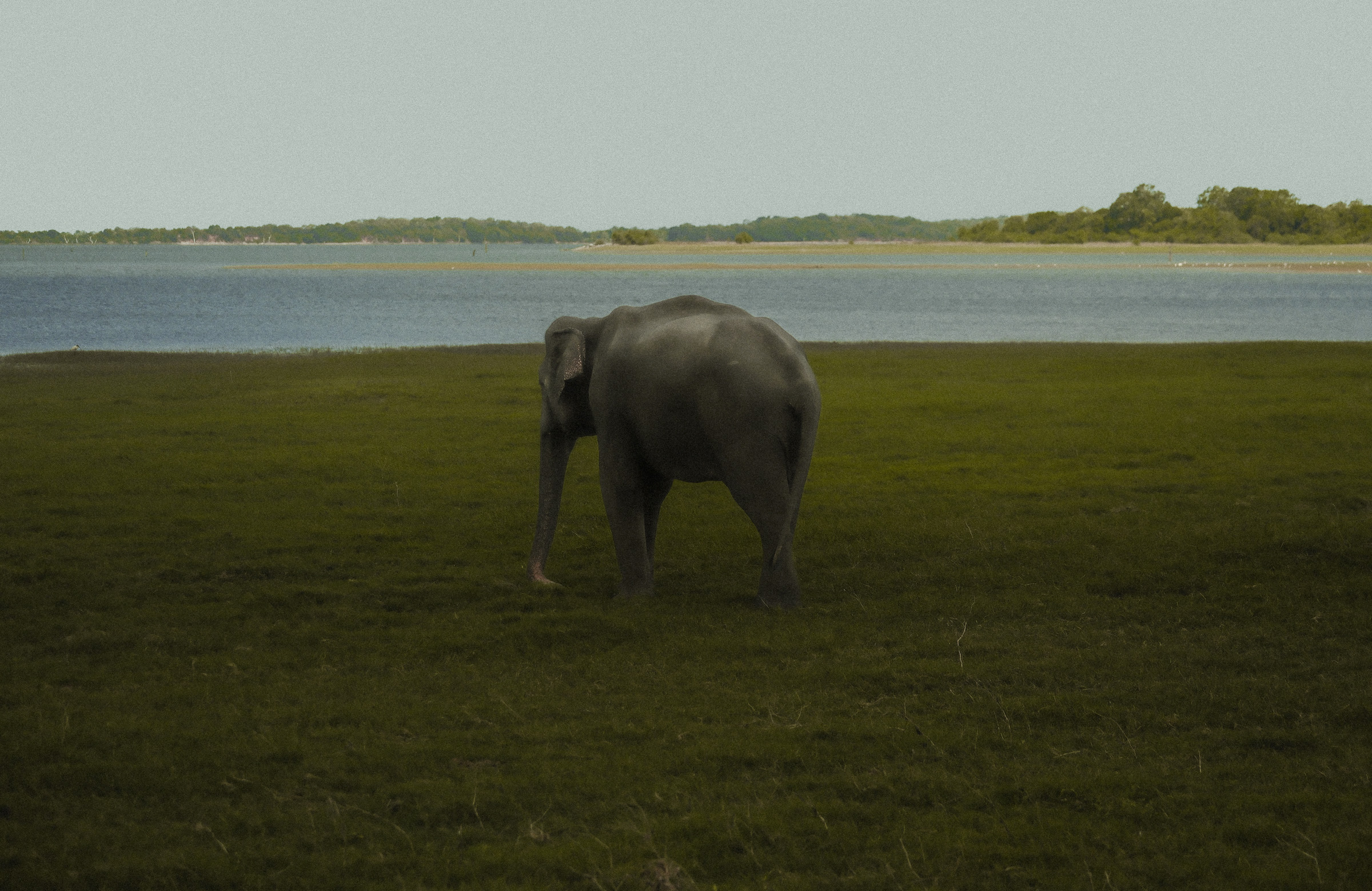 Enfant courant sur une route de terre.