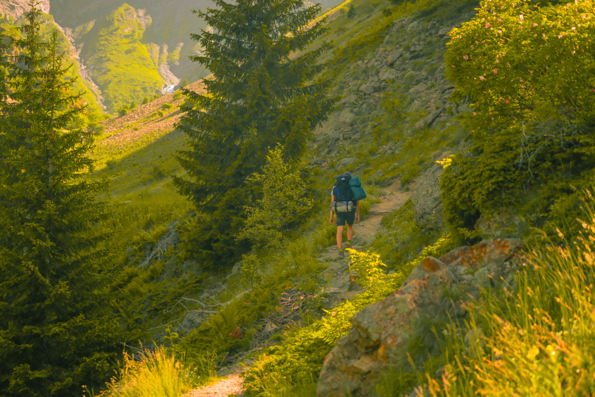 Projet hors série de Jules Bernard - image montagne 13