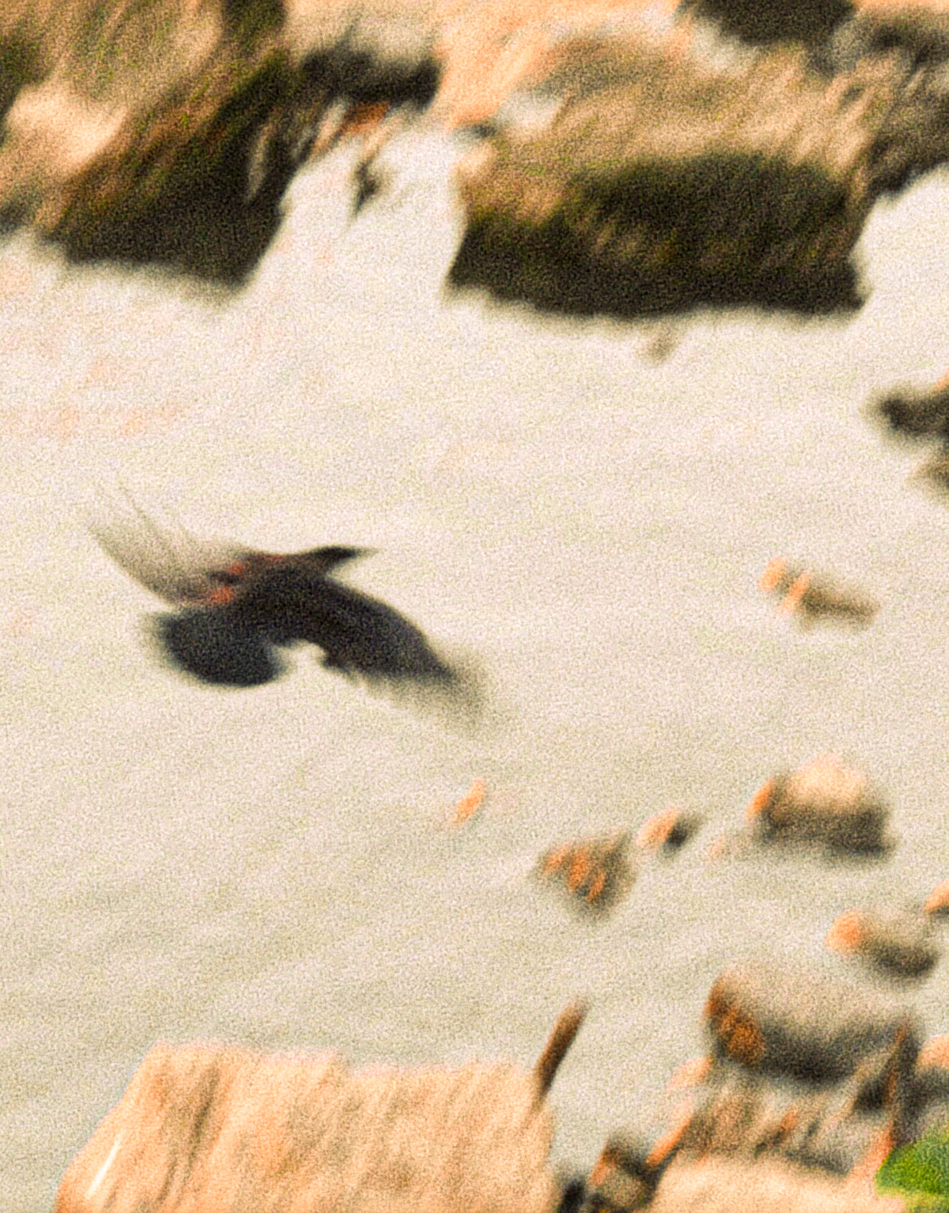 Projet hors série de Jules Bernard - image montagne 3