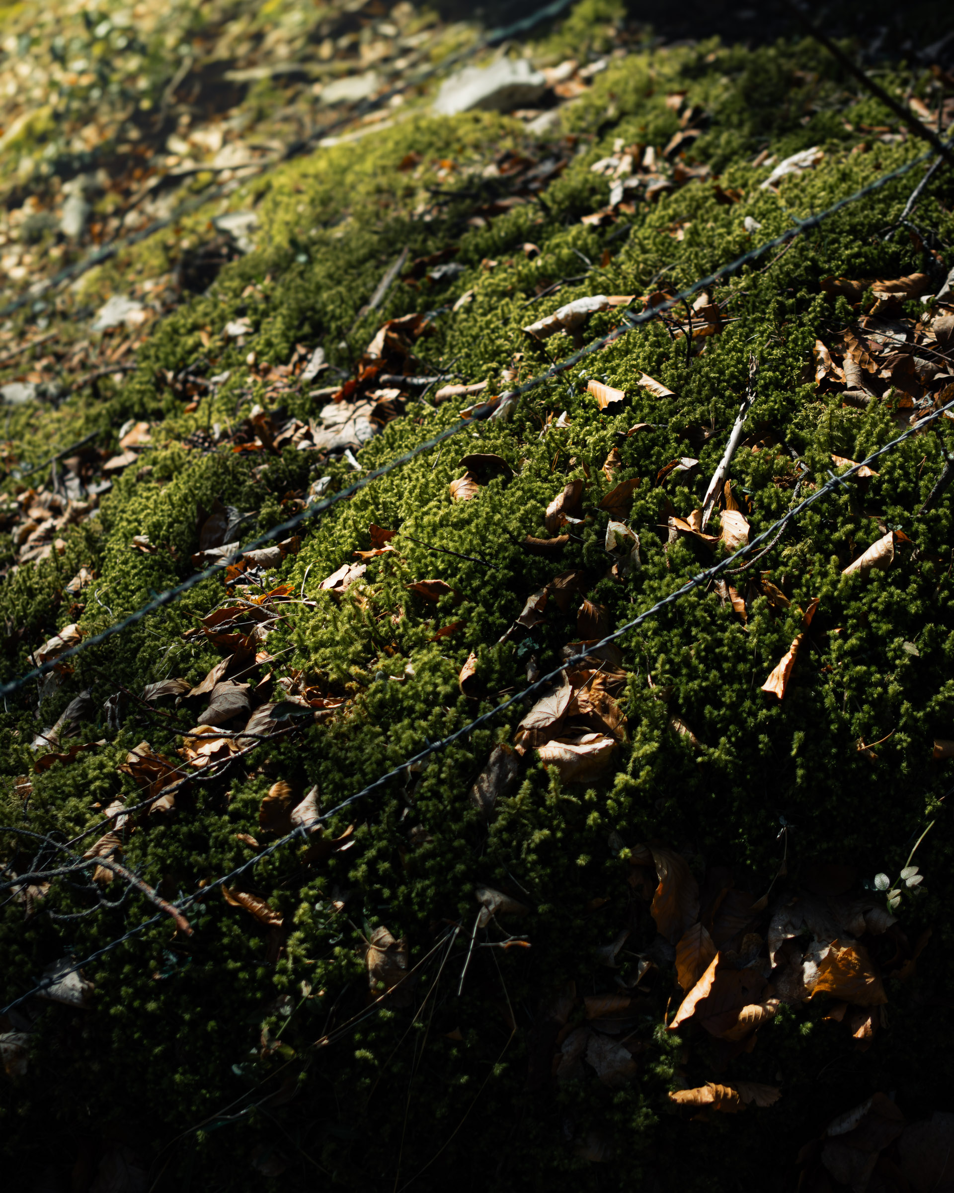 Projet hors série de Jules Bernard - image montagne 84